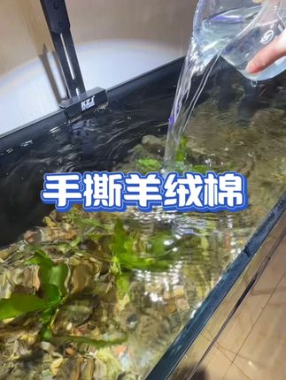 家里养鱼用棉比较费,换这款羊绒棉,2.6米大尺寸一包才几块钱 #养鱼日记 #观赏鱼 #水族 #养鱼人 #鱼缸里的大自然
