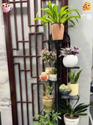 #花架子 #客厅绿萝架子 #落地式盆栽置物架 裝修設計 #阳台花盆架 多肉室内花架子