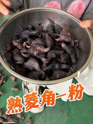 给大家看看煮熟的老菱是什么样的? 煮熟后的菱角就是这样糯糯的,纷纷的,口感似板栗,吃起来特别的满足!#新鲜采摘 #粉糯香甜 #菱角