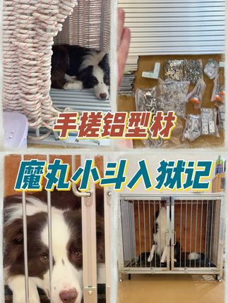 第一次玩铝型材就搓了个纯狱风狗笼子! 铝型材太好玩了!以后还要玩!#铝型材 #狗笼子