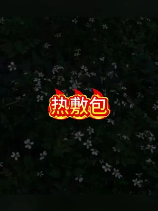俞兆林电热海盐热敷包电加热敷盐袋粗盐艾灸家用海盐热敷包#热敷 #电热水器 #电热毯 #实用好物 #好物推荐