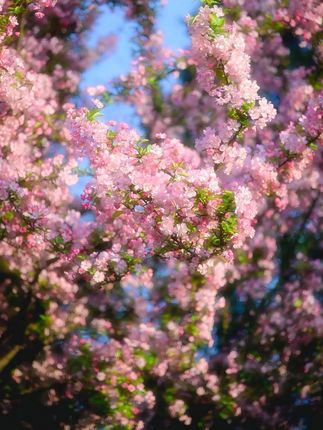 反季给孩子买衣服,太香了,纯棉的打底衫30多两件,样子还这么好看#儿童打底衫  #反季特卖  #纯棉t恤 *%2