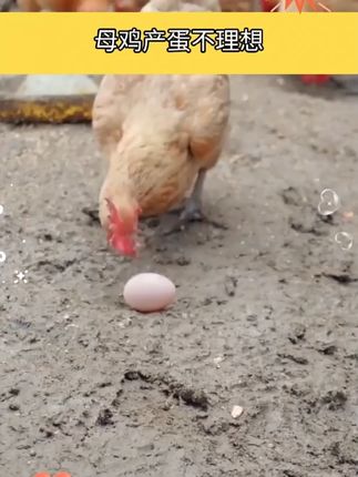 钙磷十八补软壳单破壳单蛋壳薄脆异食啄羽啄蛋打架畜禽促钙磷吸收#十八补 #钙磷 #钙磷十八补 #家禽必备 #钙磷速补
