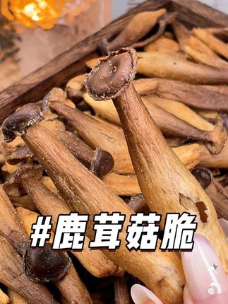 爱吃菇的可以来尝尝这个鹿茸菇脆,现在到手超划算,没吃过的一定要试试!#鹿茸菇脆 #好吃不贵 #零食推荐