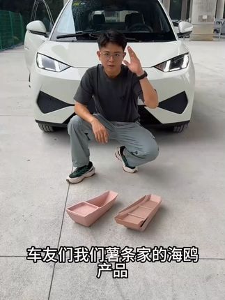 海鸥新车必备的一个储物盒,双层收纳空间告别凌乱。