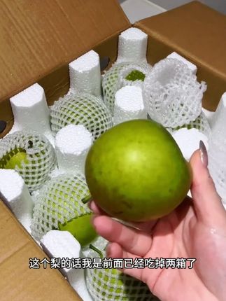 第一次吃湖北脆梨挺惊艳的,果肉细腻香甜多汁,冷藏口感更好,推荐大家尝尝#应季水果 #水果 #梨子