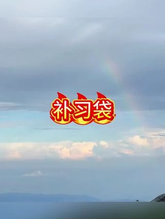 小学生手提袋补习袋帆布女孩拎书袋男孩初中生高颜值儿童卡皮巴拉#补习袋 #手提袋 #手提袋推荐 #帆布包 #帆布袋