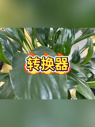转换插座 #电器配件 #多功能设计 #USB充电 #便携设备 #家用转换