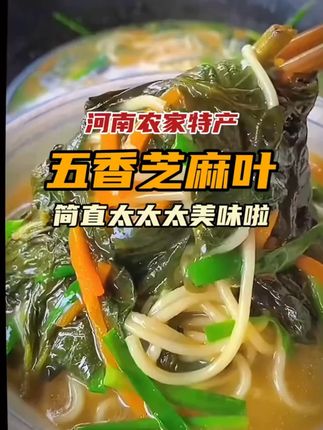 河南农家特产芝麻叶,没吃过了小伙伴一定要尝一尝,太美味啦,免泡免洗太方便啦……#妈呀太香了