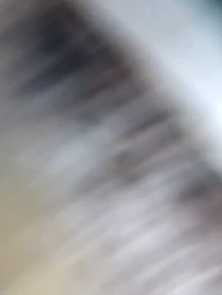 苔藓孢子粉四季鲜活青苔绿植短绒吸水石种子微景观盆景造假山草籽#盆景#假山盆景#绿植#绿植盆景#四季盆景