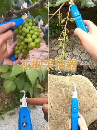 1.奇效花椒剪刀,轻松采摘不再烦恼,给你意想不到的便捷!,2.采摘利器,让美味零距离,花椒 蓝莓 樱桃采摘更轻松!,3.香椿 葡萄 草莓 荔枝,一键采摘,尽在神奇的水果剪刀!,4.花椒采摘神器降临,告别繁琐,尽享丰收的喜悦!,5.采摘花椒,我选专用剪刀,轻松又便捷,你值得拥有!