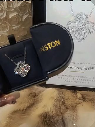 BAOSTONE 坠链均925银合成锆石 【四叶草满钻项链】轻奢高级感 T74BAOSTONE 坠链均925银合成锆石 【四叶草满钻项链】轻奢高级感 T74
