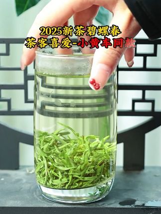 茶叶品质好不好?关键看口感!这款好喝又实惠的新茶别错过!#茶生活  #召唤茶友  #绿茶  #新茶上市  #口粮茶推荐