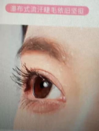 终于找到了我的本命睫毛膏,对新手也太友好了吧#人人都可以是睫毛精 #睫毛膏#平价彩妆#健美创研