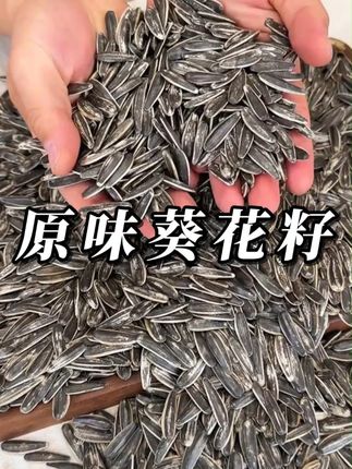 没想到这个价到手两斤重内蒙古原味瓜子,喜欢嗑瓜子的抓紧抢#嗑瓜子 #瓜子 #超便宜超划算  #零食