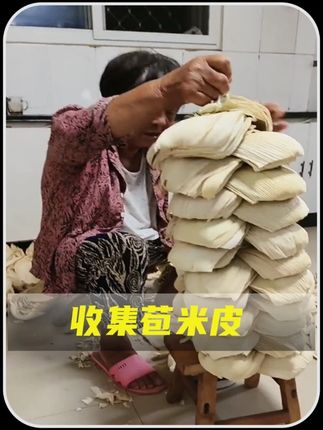 被剥掉的玉米皮千万不要扔,还有许多好的用处你知道吗!#奇闻趣事分享 #每天一个科普小知识 #9月创作激励计划
