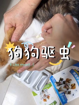 十几块就能搞定,狗狗的内驱加外驱,你非要花大几百~#萌宠好物 #驱虫 #狗狗驱虫 #whycat驱虫