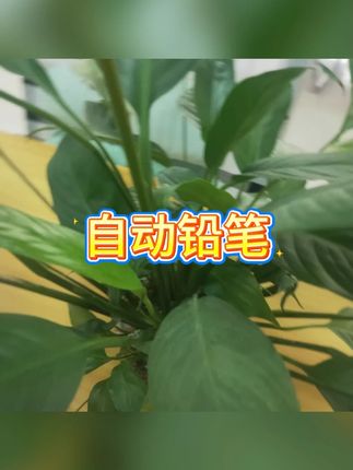 正姿自动铅笔小学生书写套装 #自动铅笔 #学生文具 #练字工具