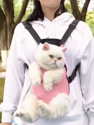 宠物用品狗狗双肩包透气便携包猫猫咪胸前外出前置春夏天背包#萌宠好物 #宠物双肩包 #便携包 #宠物便携包 #养宠必备