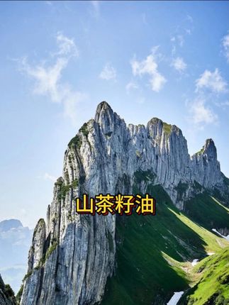 一年一次的山茶籽油