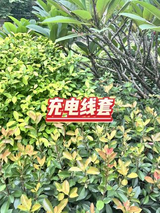 数据线防折保护套 #手机配件 #延长寿命 #绕线方便