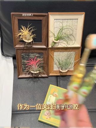 哥伦希【山型凸面儿童牙刷】3-12岁萌趣宝宝护龈软毛牙刷深层清洁