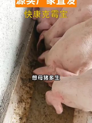 厂家直发饲料脱霉剂养殖专用脱霉剂
