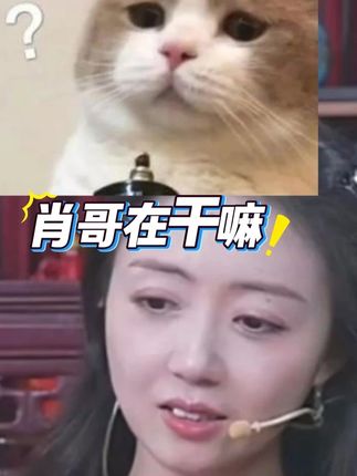 肖哥在干嘛 @肖干虾 @🌸花花🌸 #酒文化 #好喝不贵 #酒知识 #酒水 #性价比好酒