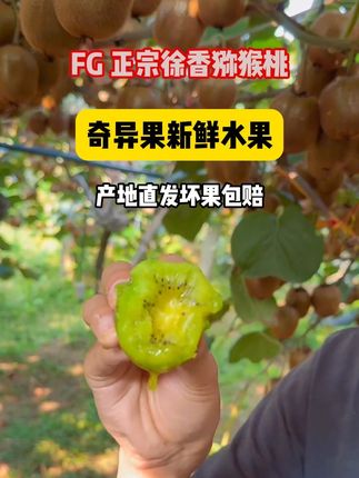 徐香猕猴桃#绿心猕猴桃