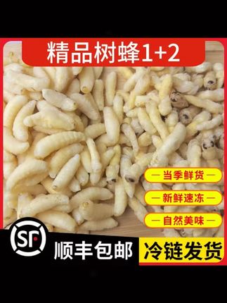 树蜂1+2蜂蛹新鲜速冻蜂蛹今年新货马蜂胡蜂葫芦蜂#新鲜蜂蛹 #速冻食品 #树蜂蜂蛹 #美食食材 #新货蜂蛹