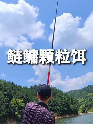 钓鲢鳙没那么难,用颗粒作钓,轻松简单#浮钓鲢鳙  #鲢鳙颗粒  #鲢鳙饵料  #钓鱼人