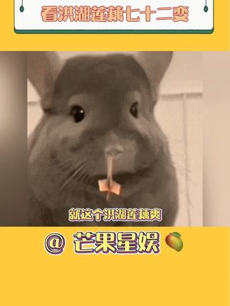 #看洪湖莲藕七十二变 爱吃莲藕人士立刻就吻了上来! #星乡村星农人 #洪湖莲藕 #抖音美好丰收节 #丰收的味道在抖音