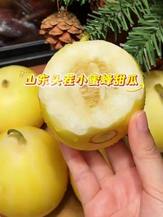 山东头茬小蜜蜂甜瓜早甜脆小蜜罐新鲜直供香甜美味果园 正宗头茬小蜜蜂🐝甜瓜🍈 小时候的味道👅脆甜多汁#口感非常好 #快来一起尝个鲜 #甜瓜 #小时候的味道你们还记得吗 #甜瓜种植