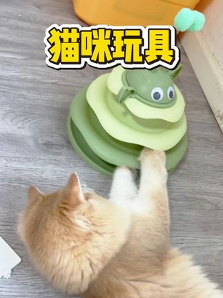 看得出他很快乐#萌宠出道计划 #猫咪玩具 #萌宠好物 #铲屎官的乐趣 #小奶猫
