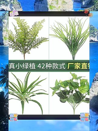 塑料仿真绿草高枝插花树枝仿生散尾葵高品质绿萝假绿植造景单枝花  #日常居家 #日常家用 #日常用品