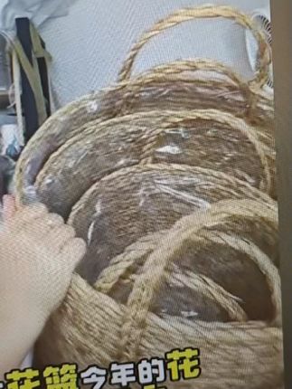 超大草编玫瑰抱抱桶,太浪漫太有仪式感了吧!找到一家源头工厂,价格很便宜,推荐大中小3个更划算!