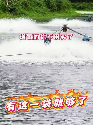 #鱼虾蟹养殖 #水产人 #池塘缺氧 #增氧片 #颗粒氧