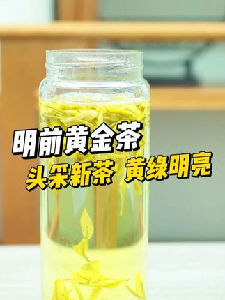 喜欢喝绿茶的茶友们,这款明前新茶明前黄金芽,茶汤通透明亮,口感鲜爽甘醇!#黄金芽 #新茶上市 #绿茶