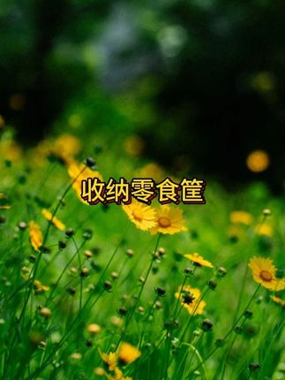 颜值很高的收纳筐!#收纳筐  #抖音美好丰收节  #男士神仙单品  #在抖音入手的好东西  #无限回购的宝藏单品