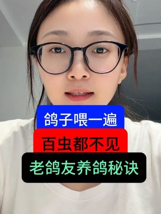 鸽子喂一遍 百虫都不见 #赛鸽  #鸽子  #养鸽人  #信鸽赛鸽  #赛鸽比赛