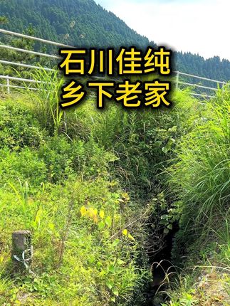 早安 #石川佳纯 #我的乡村生活
