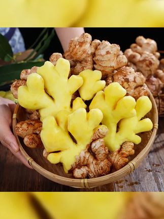 云南高山小黄姜新鲜现挖带泥发货 味浓辛辣超正宗 产地直发品质有保障 #云南小黄姜 #带泥发货 #高山生姜 #产地直发 #新鲜食材