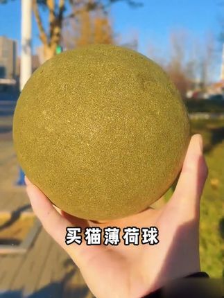 猫薄荷球超大猫玩具自嗨解闷神器磨牙猫草球逗猫棒猫咪用品木天蓼#猫咪 #萌宠出道计划 #猫薄荷球超大 H
