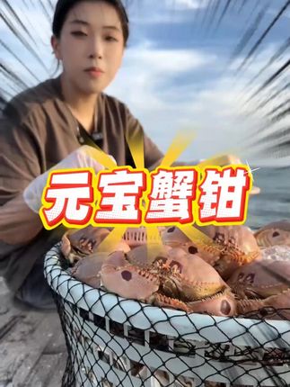 不是帝王蟹吃不起,而是元宝蟹的蟹钳更有性价比,和帝王蟹一样只吃蟹腿,价格却不及帝王蟹的十分之一,太划算了#蟹钳 #蟹腿 #螃蟹 #海鲜美食 #海鲜原产地