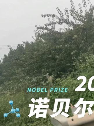家用白色堵洞口/空调孔/下水道/防虫填充 #4
