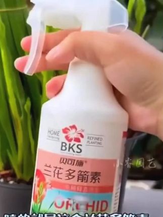 兰花不开花,学会这招花開爆满盘!#爱生活爱养花#兰花种植#兰花多箭素 赶紧给兰花试一下