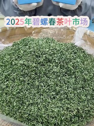 浓香又耐泡的碧螺春选我们家这款,口粮价到手好品质#爱喝茶的关注我#每日一茶#爱生活爱喝茶
