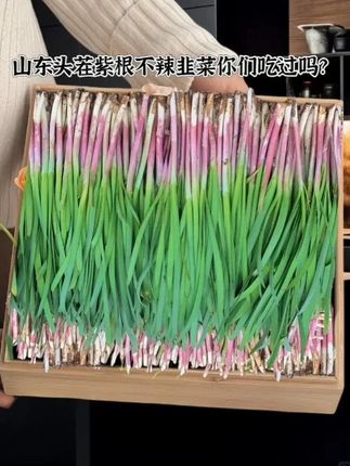 【紫根韭菜种子】宽叶独根红寿光地方紫根韭菜籽 香味浓大面积种植