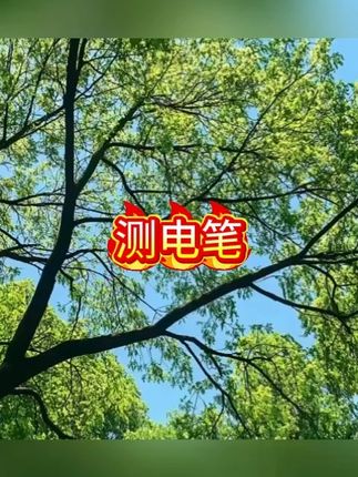 德力西升级款数据保存数显测量测电笔多功能感应便携含10米胶带 #测电笔 #电工工具 #高性能实用工具 #五金工具 #测量仪器
