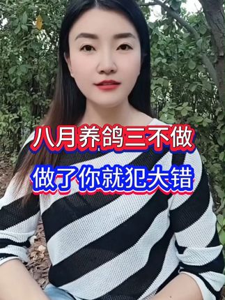 8月养鸽三不做,做了你就犯大错!8月养鸽三不做,做了你就犯大错